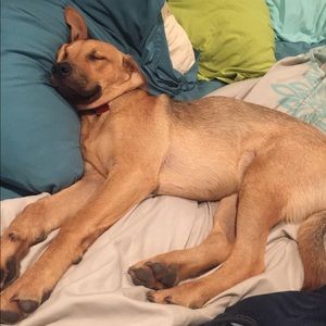 Meet your Posher, Mack